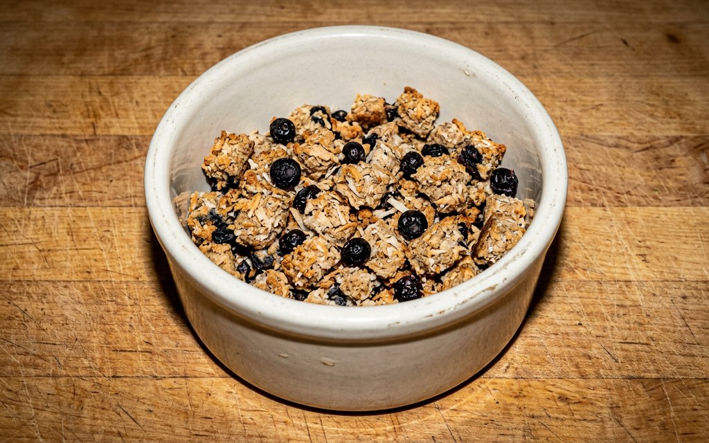 Coconut Water Blueberry Dog Treats, homemade dog recipe