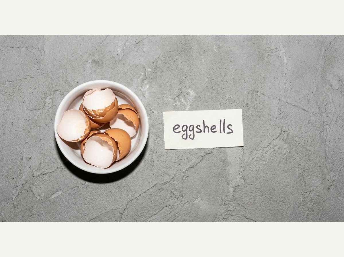 Ingredients for Eggshell Powder For Dogs