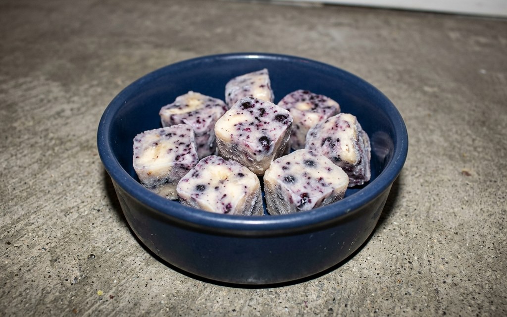 Frozen Banana Blueberry Dog Treats, homemade dog recipe