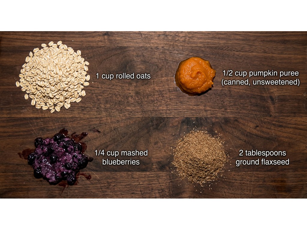 Ingredients for No Bake Blueberry Pumpkin Dog Treats