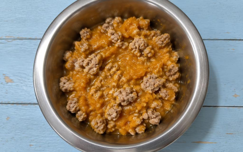 Pork & Pumpkin Simple Dog Bowl, homemade dog recipe
