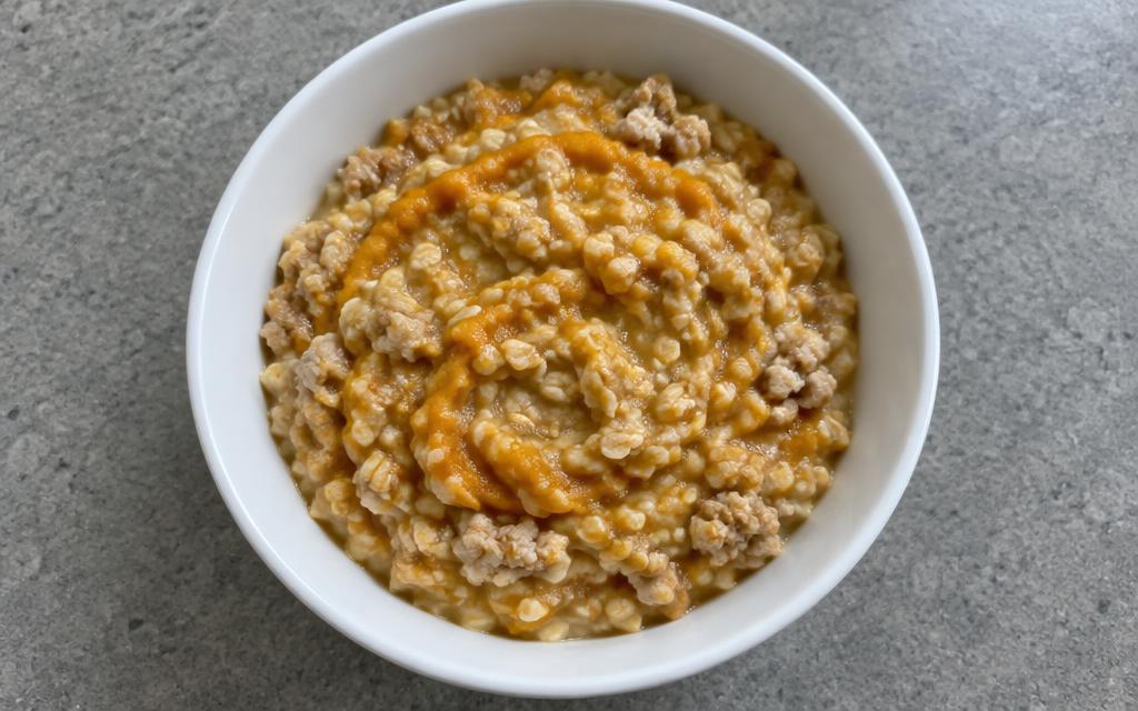 Puppy Turkey & Oat Mash, homemade dog recipe