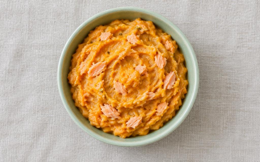 Salmon & Sweet Potato Cat Mash, homemade cat recipe